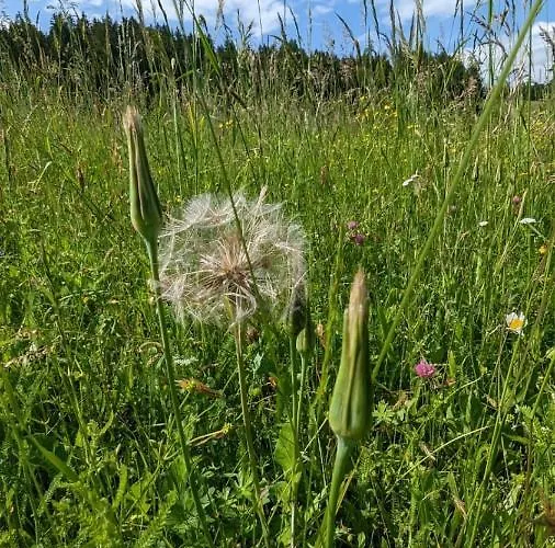 Apartament In Der Liebenfels