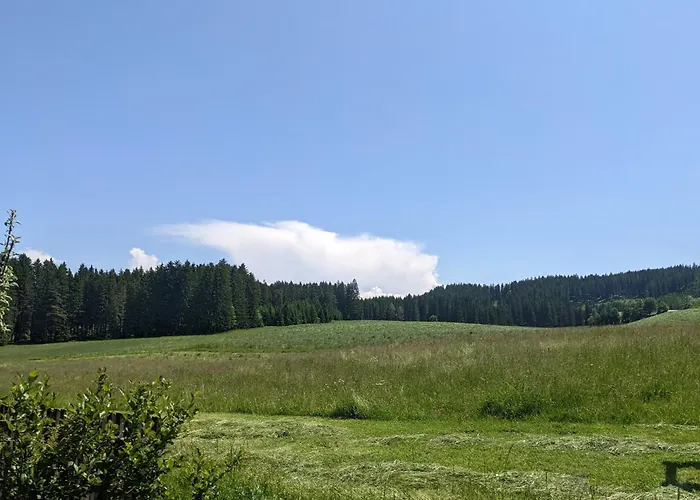 In Der Apartament Liebenfels